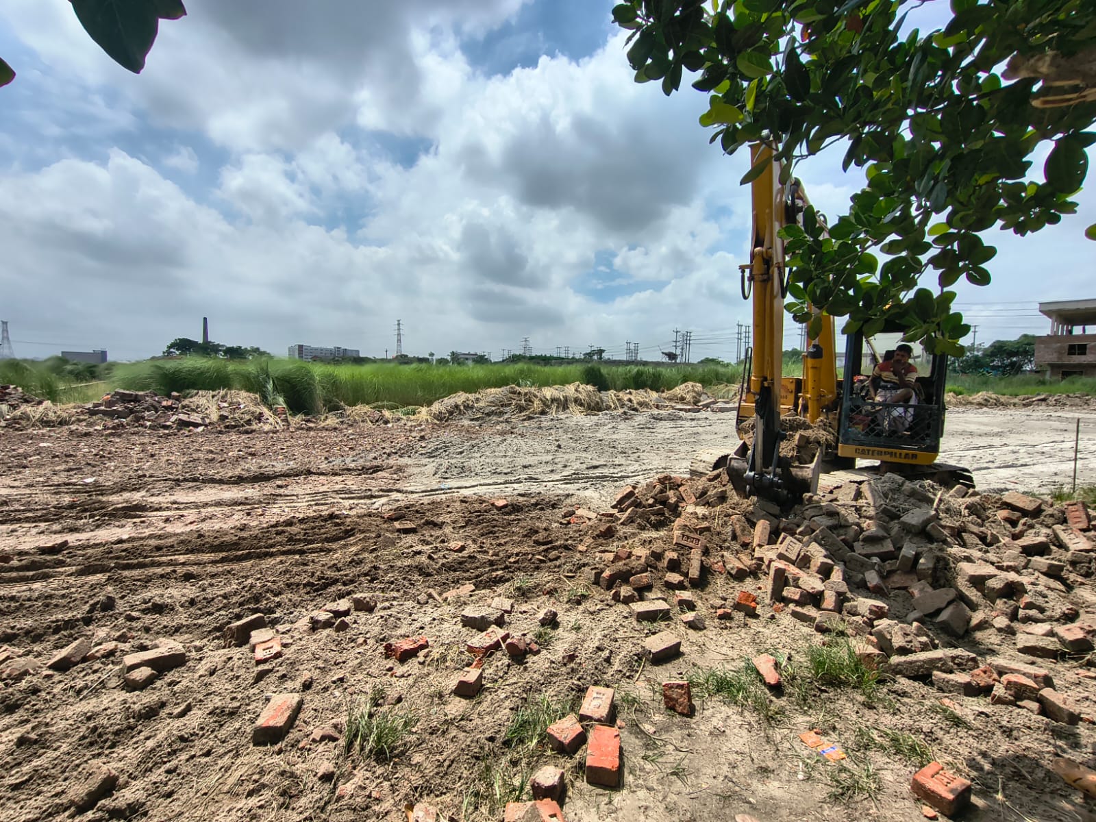 Wide view of prepared land